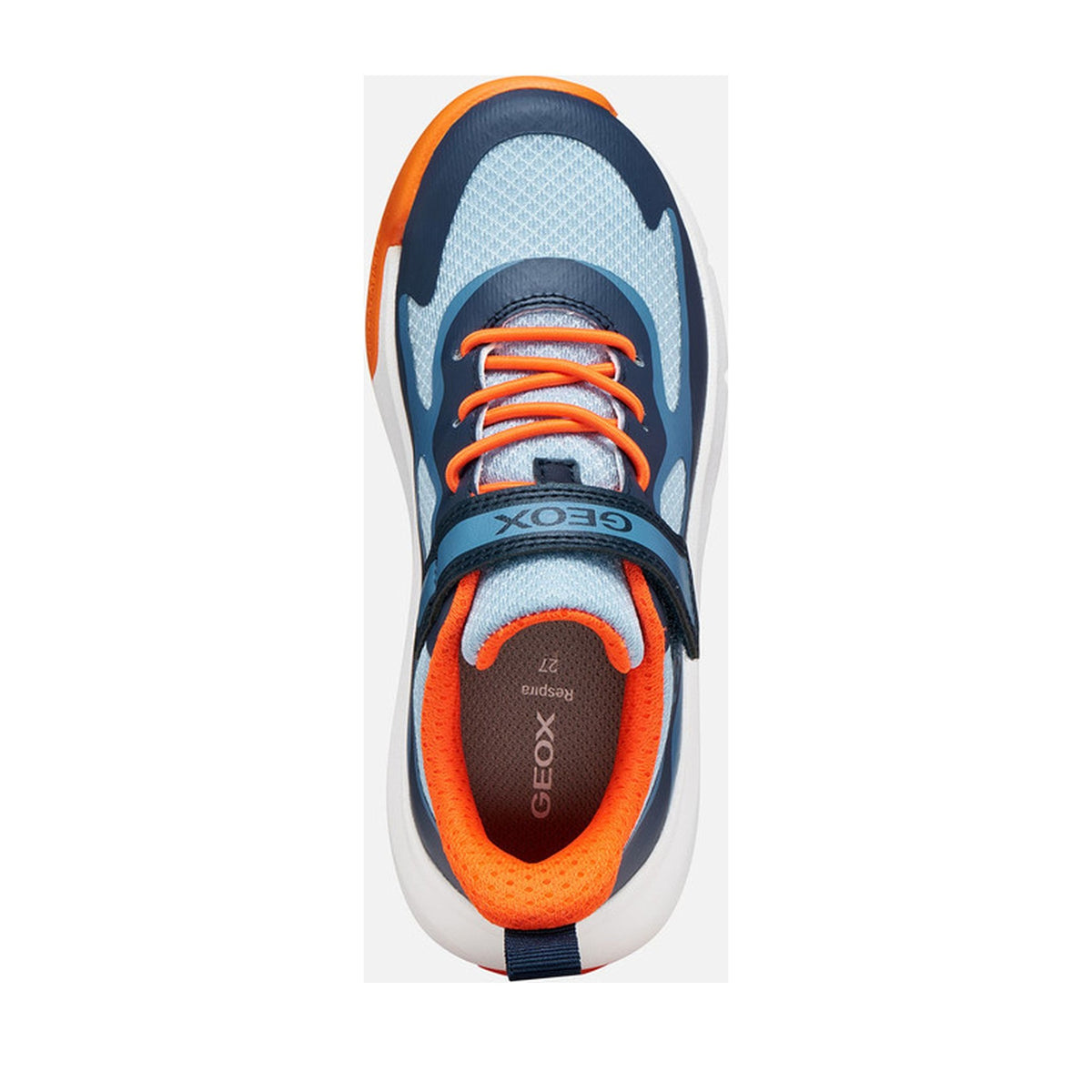 Pro-Ranoy Boys' Blue Fashion Sneakers
