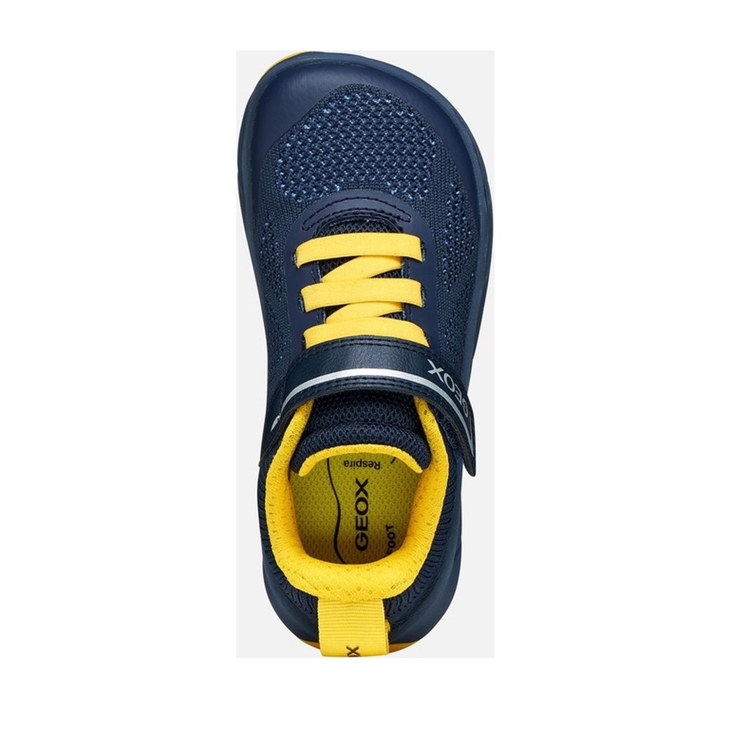Boys' Blue Fashion Sneakers