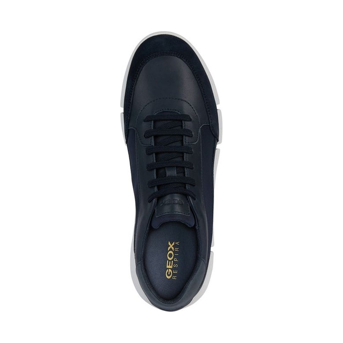 Geox mens navy adacter sneakers | Vilbury London