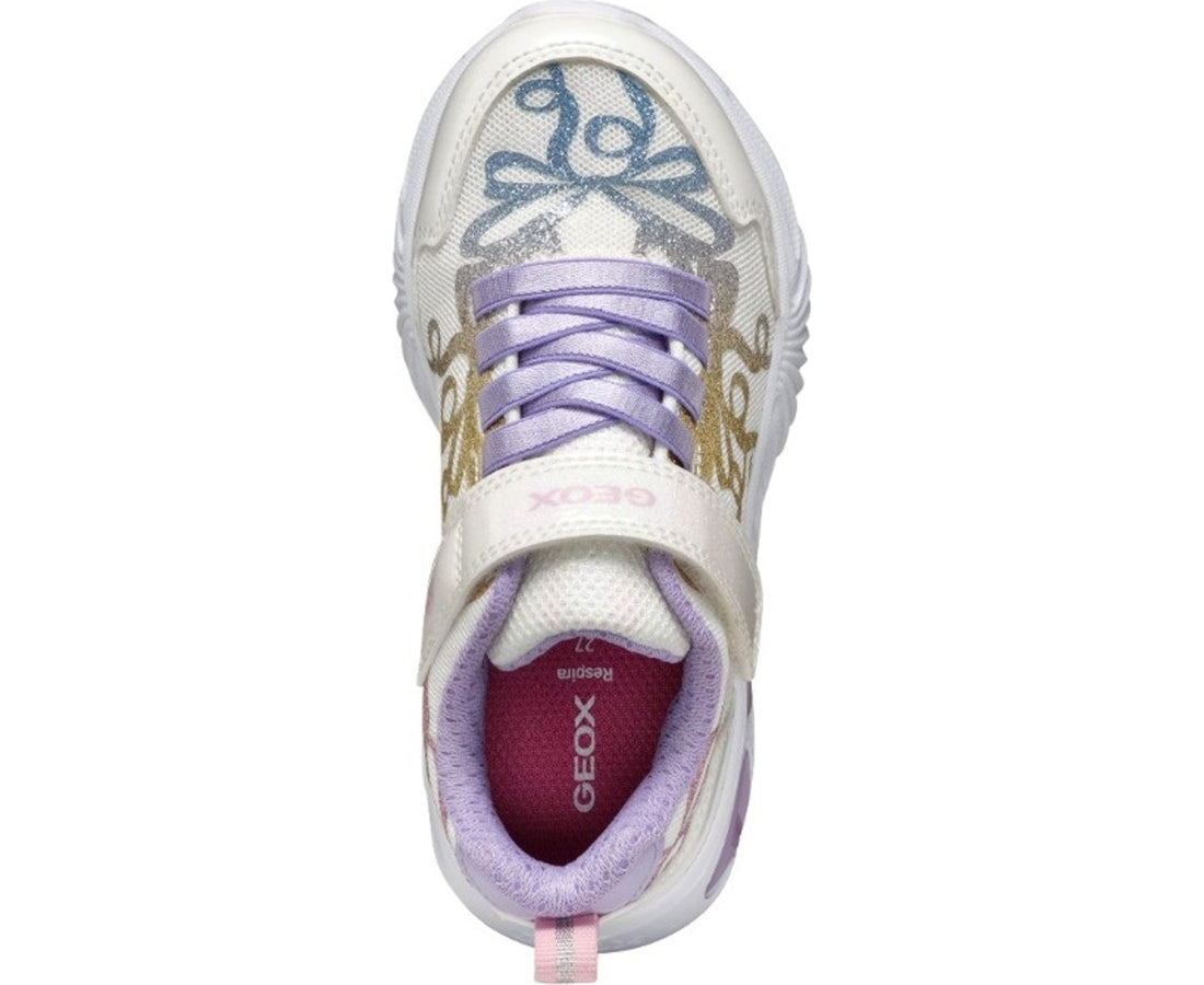 assister leisure trainers