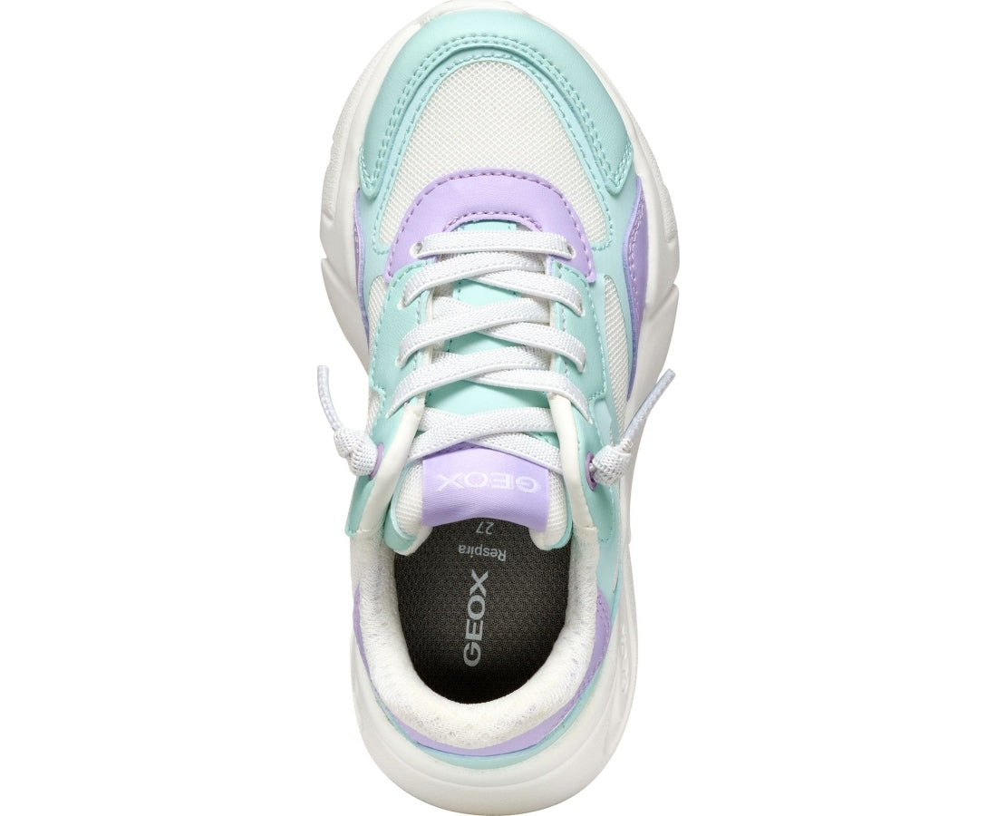 loftus leisure trainers