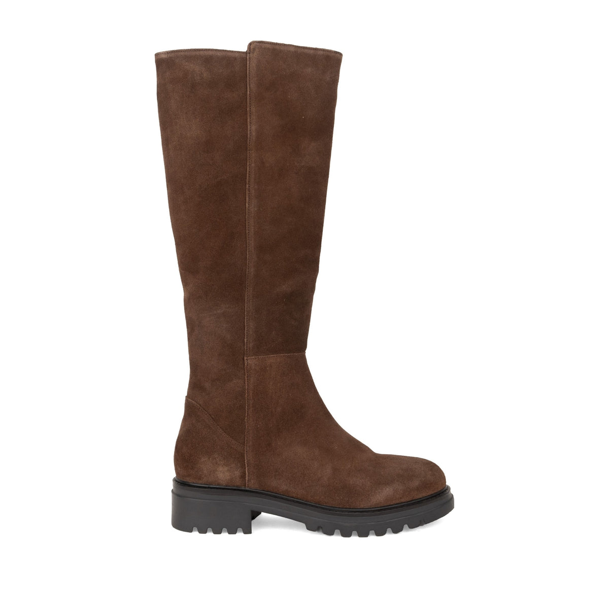 Tasvi Women's Brown Boots