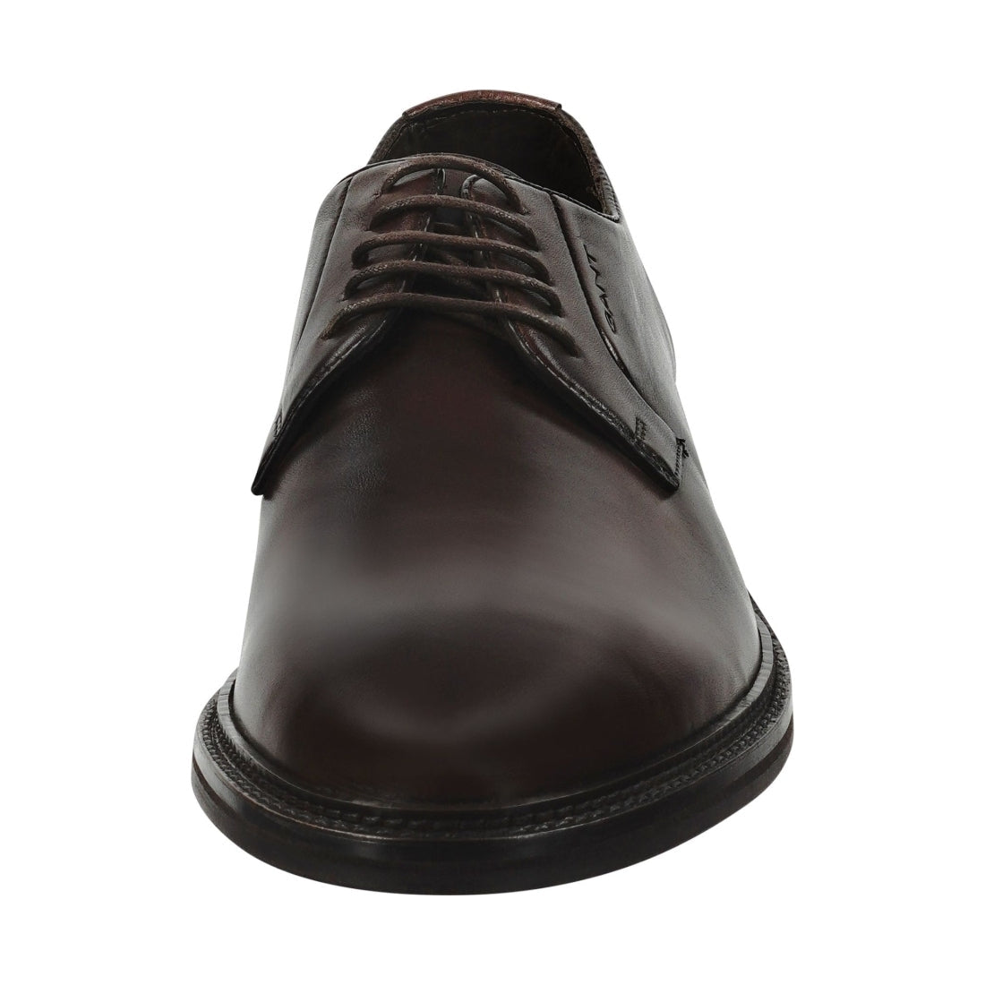 Gant mens g46 dark brown bidford formal | Vilbury London