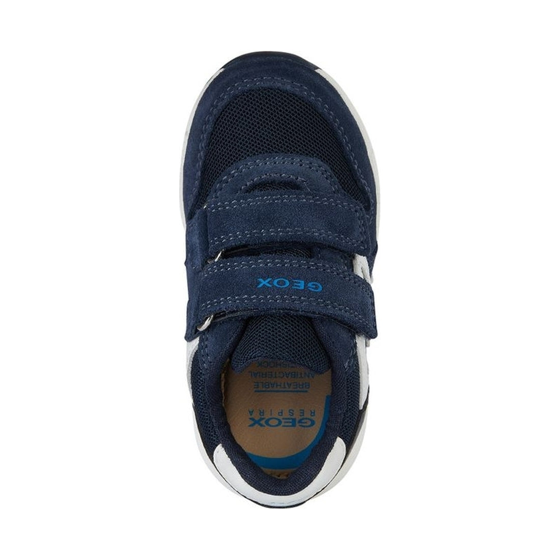 Geox boys navy, white alben sneakers | Vilbury London