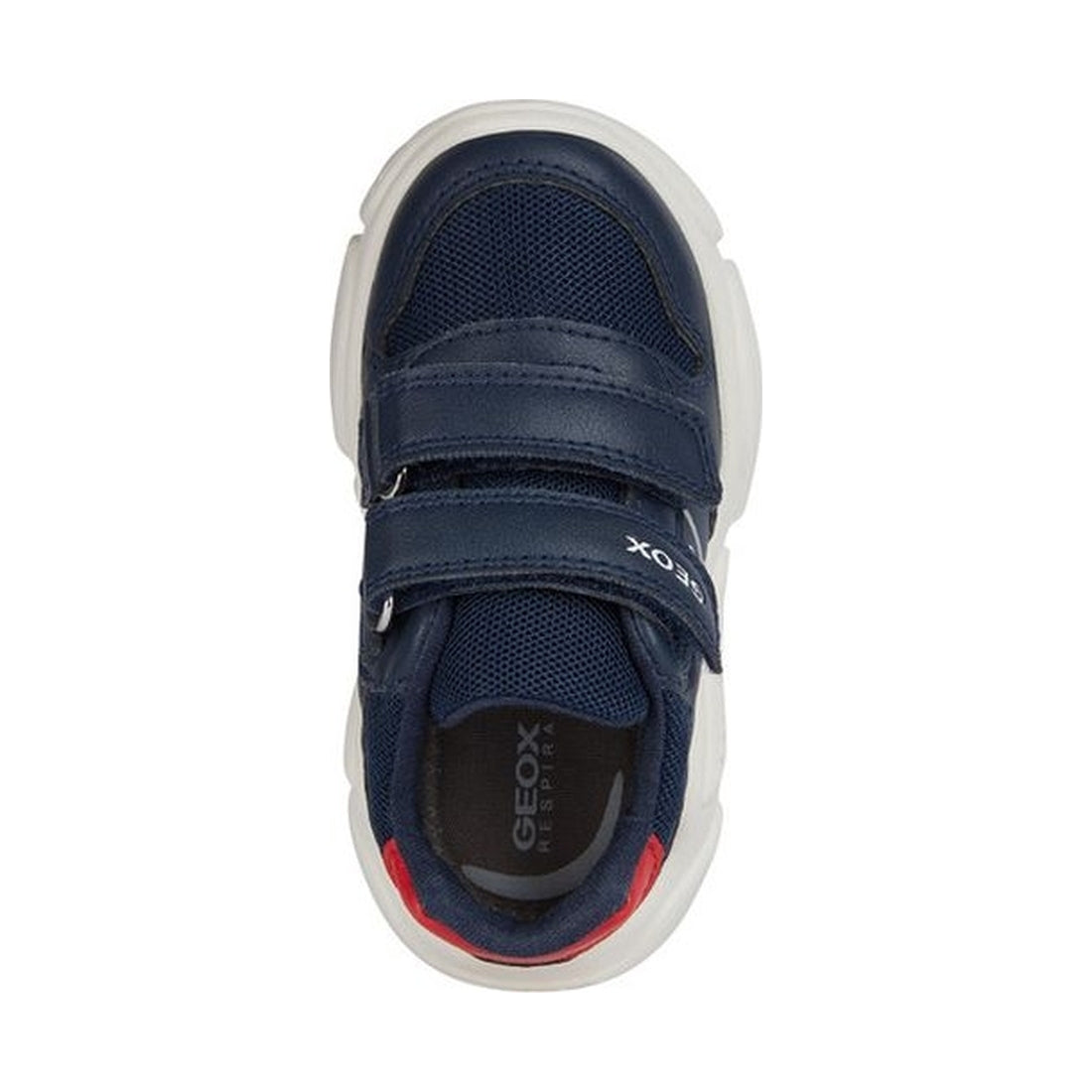 Geox boys navy, red ciufciuf sneakers | Vilbury London