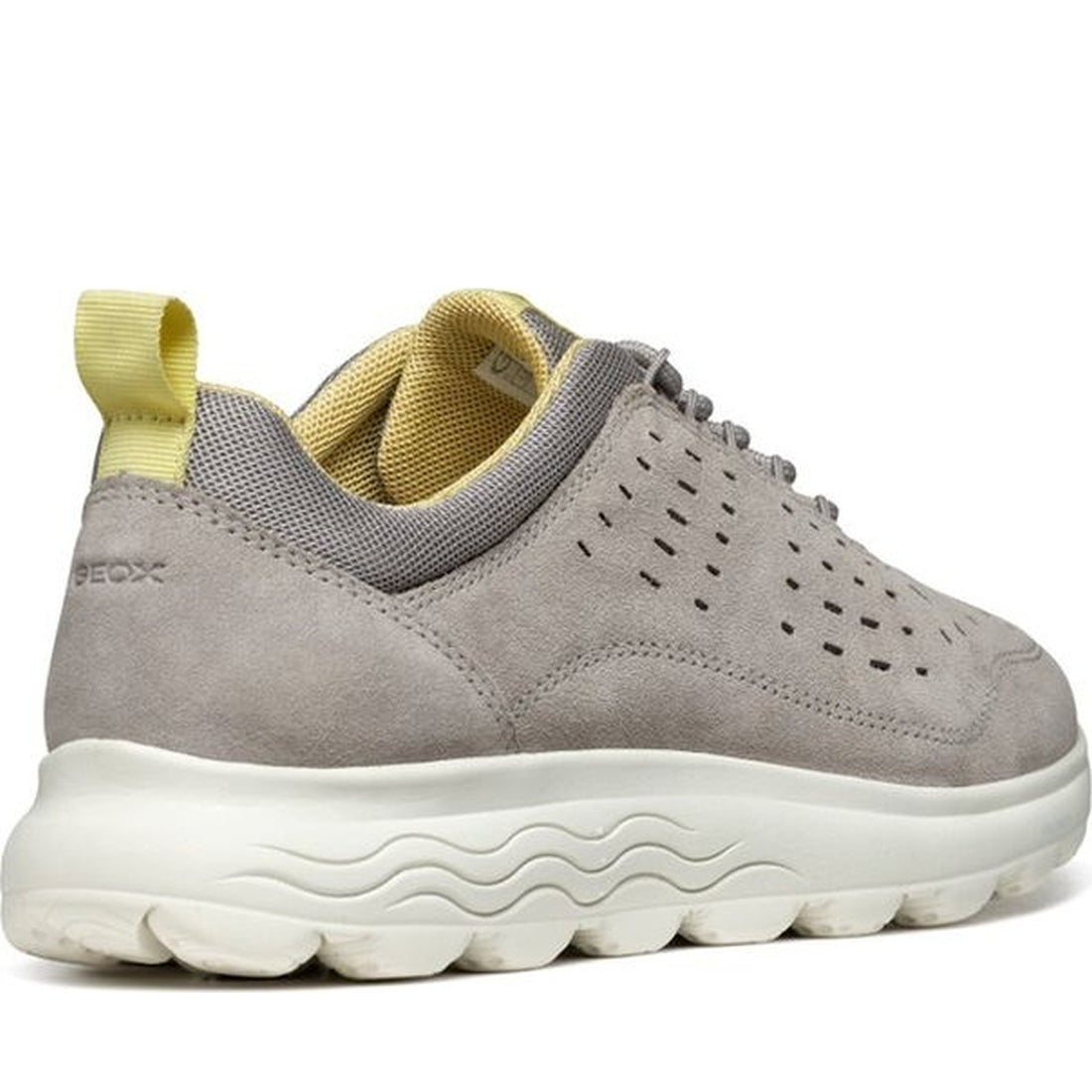 Geox womens rock spherica sneakers | Vilbury London