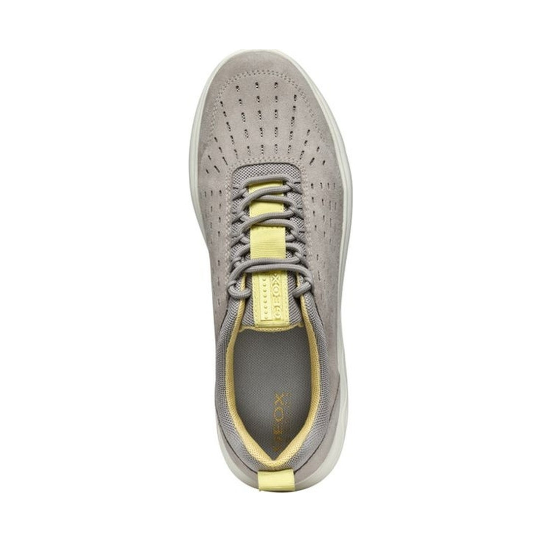 Geox womens rock spherica sneakers | Vilbury London