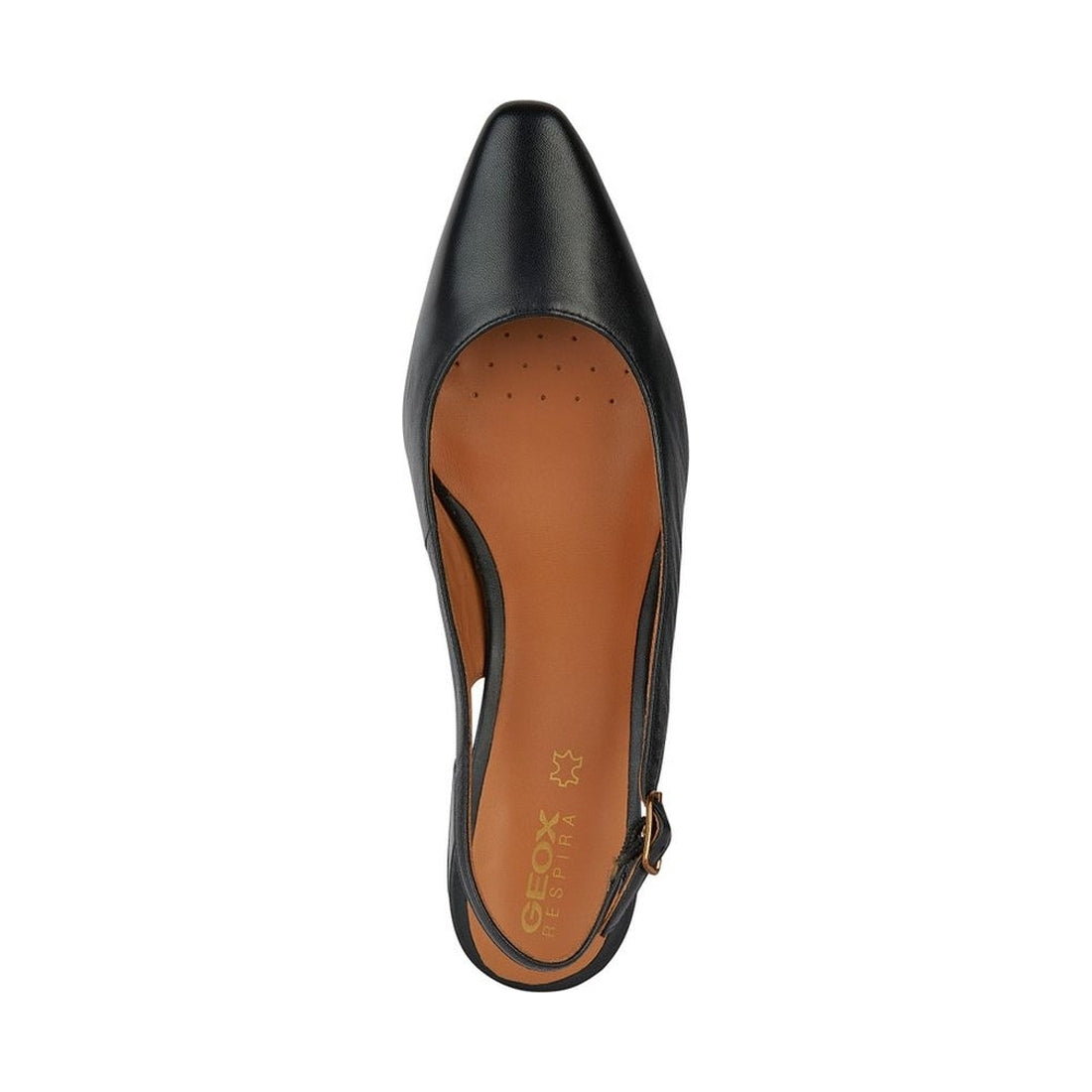 Geox womens black giselda shoes | Vilbury London