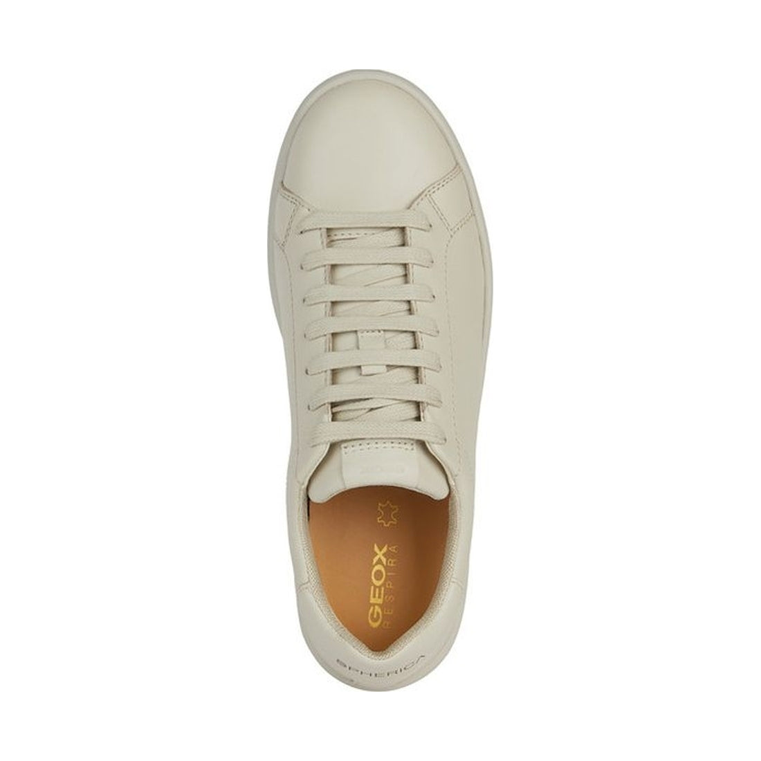 Geox womens lt sand spherica ecub-1 sneakers | Vilbury London