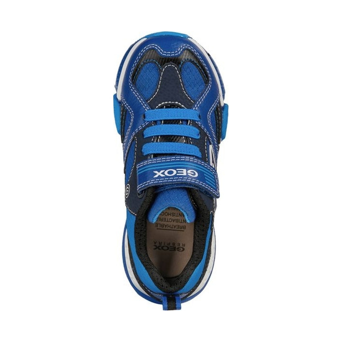 Geox boys royal, lt blue bayonyc sneakers | Vilbury London