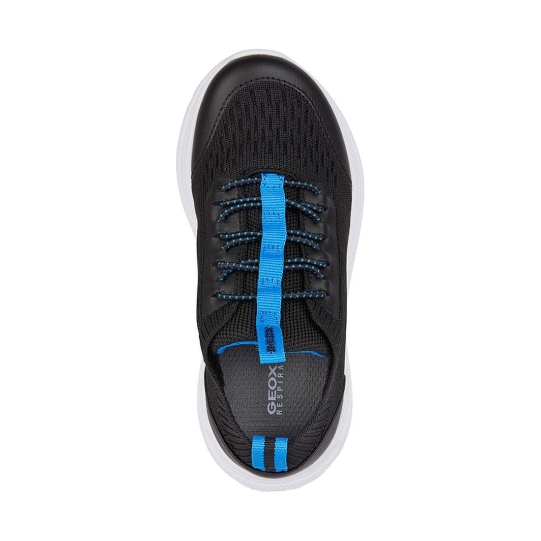 Geox boys black, lt blue sprintye sneakers | Vilbury London