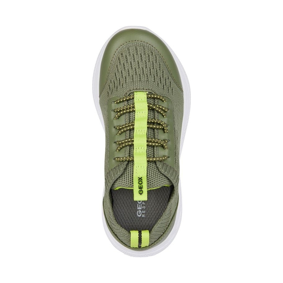 Geox boys military, lime sprintye sneakers | Vilbury London