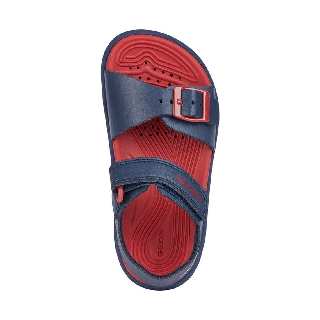 Geox boys navy, red sandal fusbetto | Vilbury London