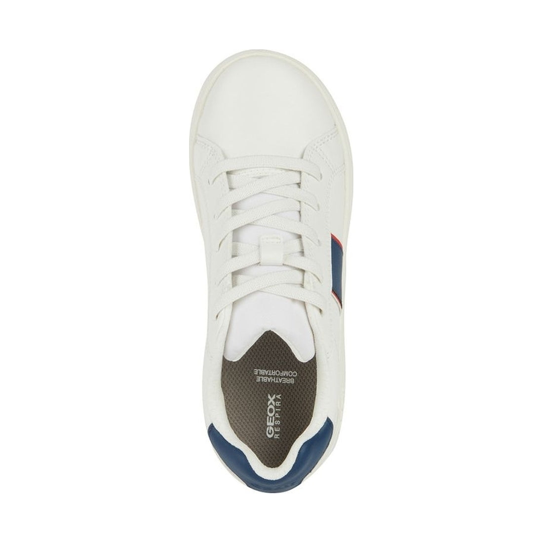 Geox boys white, navy eclyper sneakers | Vilbury London