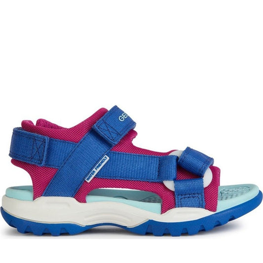 Geox girls dk royal, cyclamen borealis sandals | Vilbury London