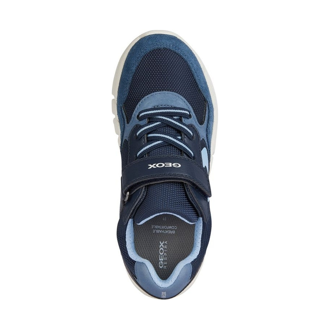 Geox boys navy, lt blue flexyper sneakers | Vilbury London