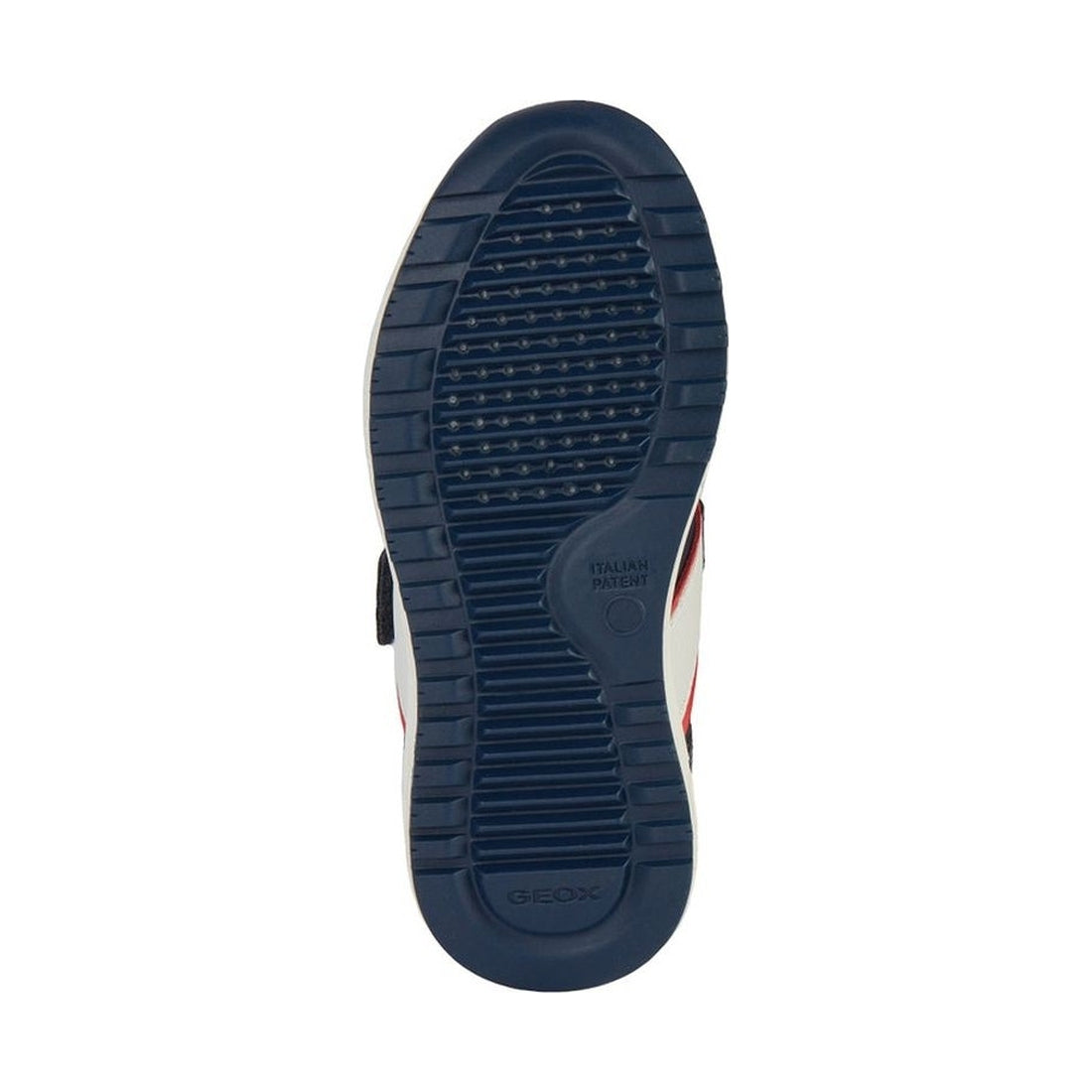 Geox boys navy, red alben sneakers | Vilbury London