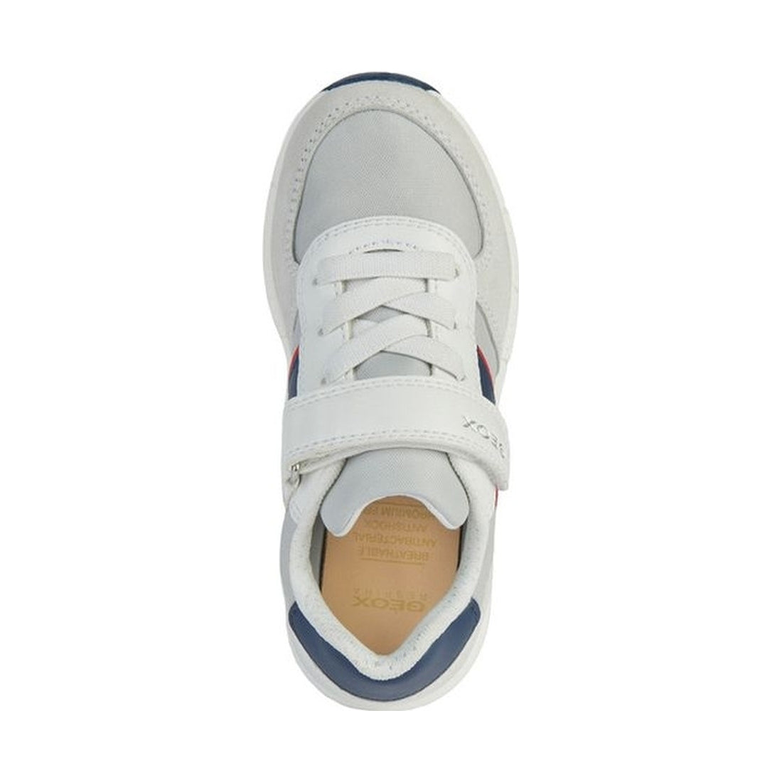 Geox boys white, navy alben sneakers | Vilbury London