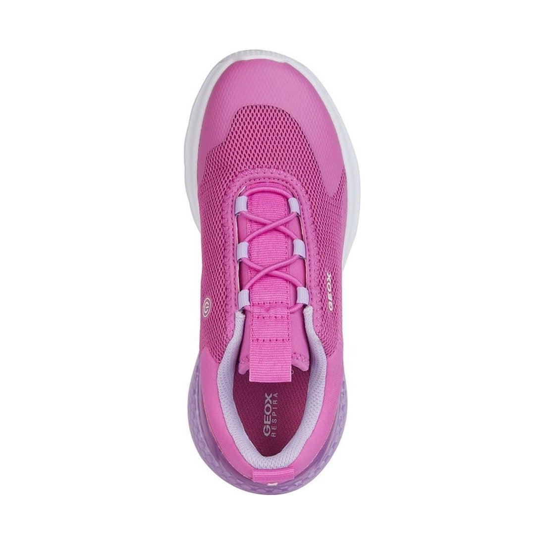 Geox girls fuchsia, lilac activart illuminus sneakers | Vilbury London