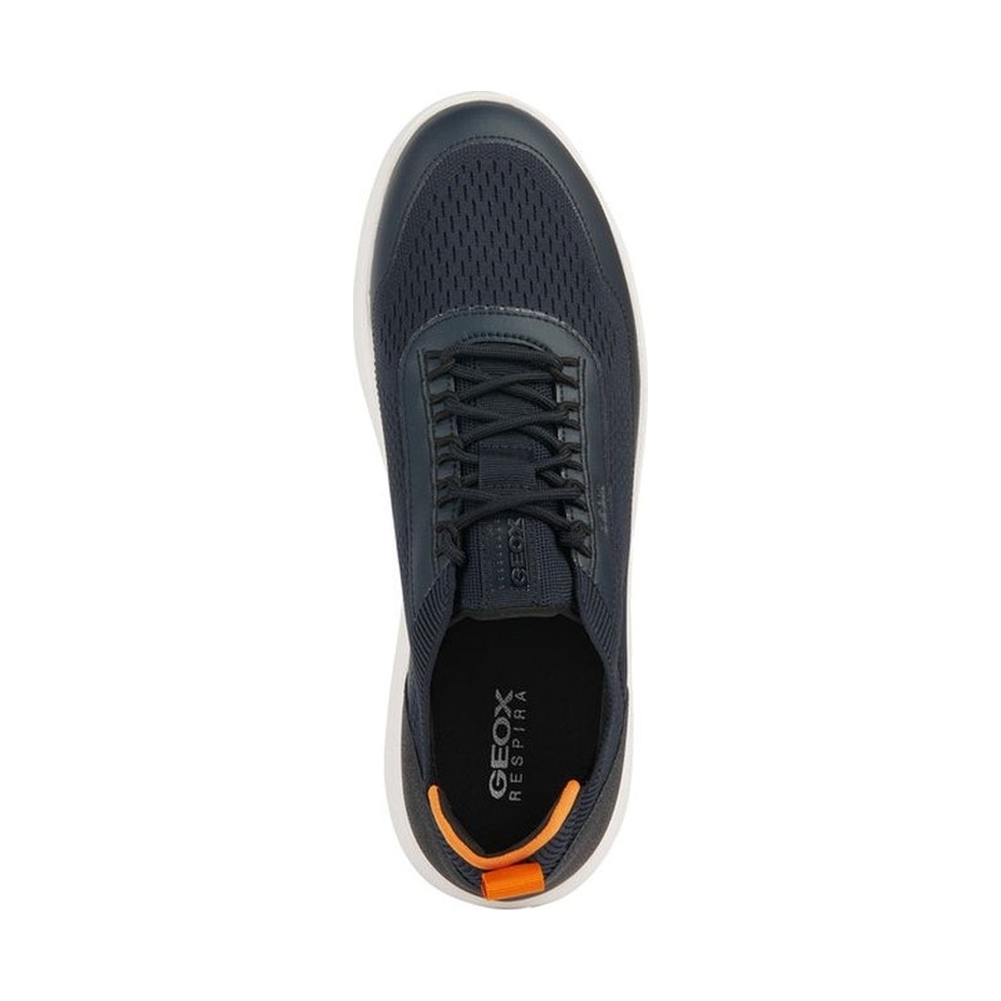 Geox mens dk navy spherica sneakers | Vilbury London