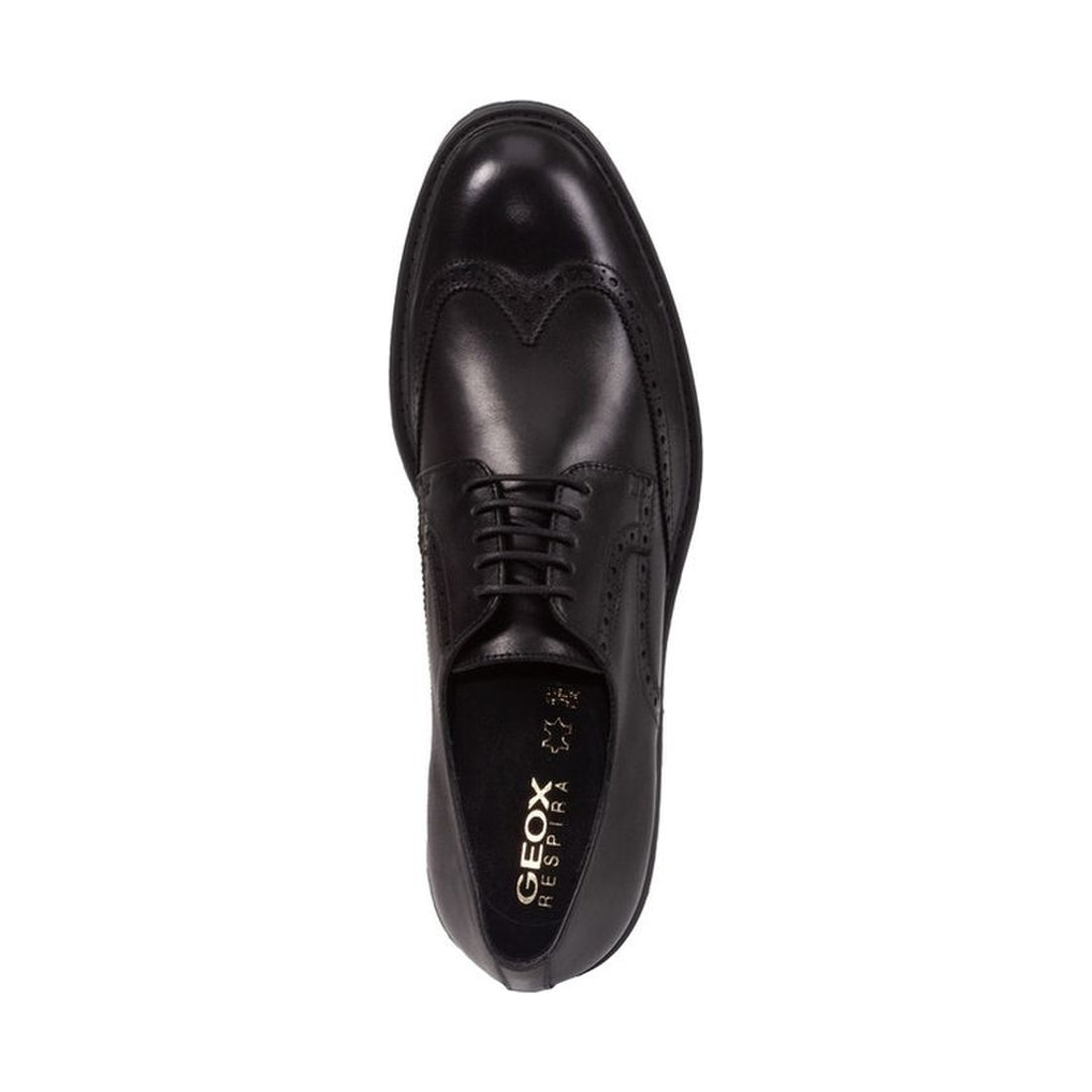 Geox mens black walk pleasure shoes | Vilbury London