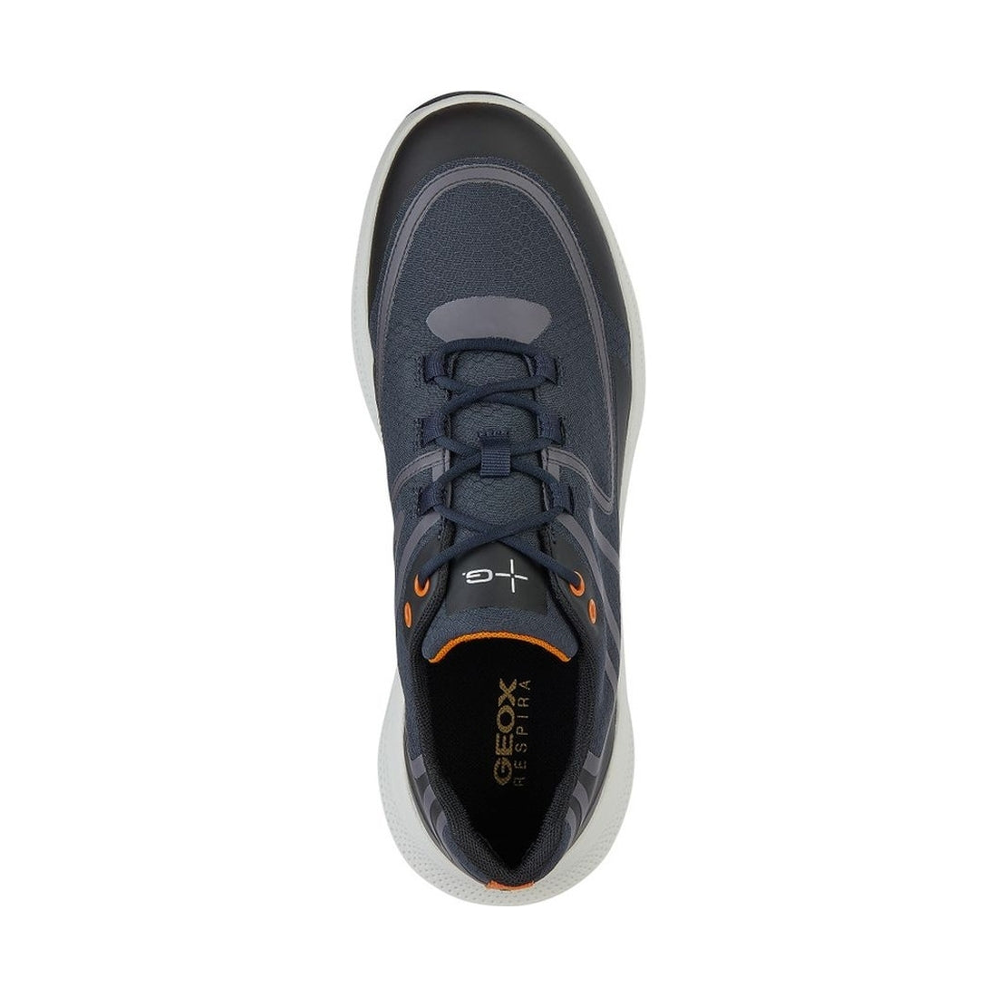 Geox mens navy, black pg1x sneakers | Vilbury London