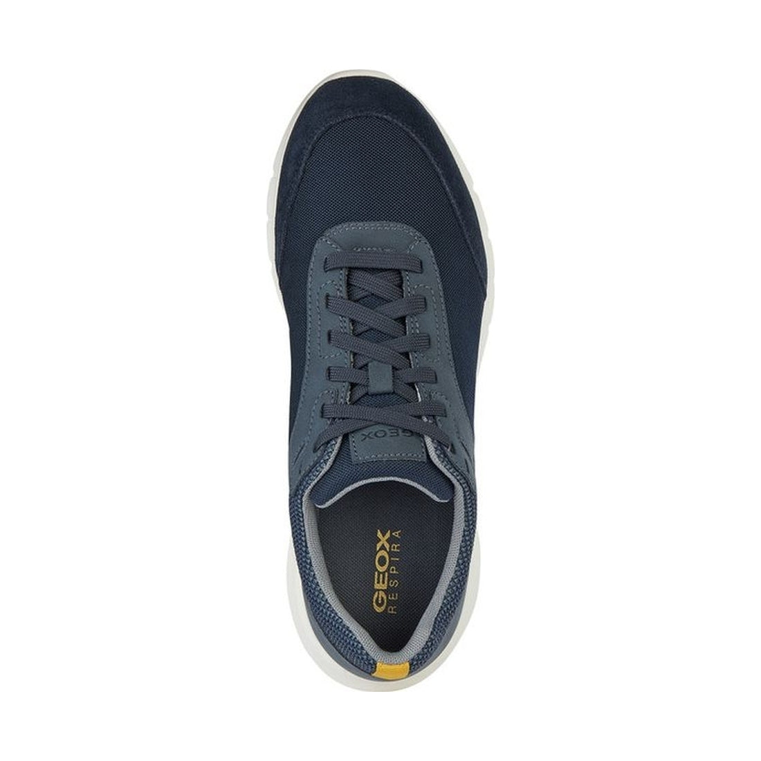 Geox mens navy monreale sneakers | Vilbury London