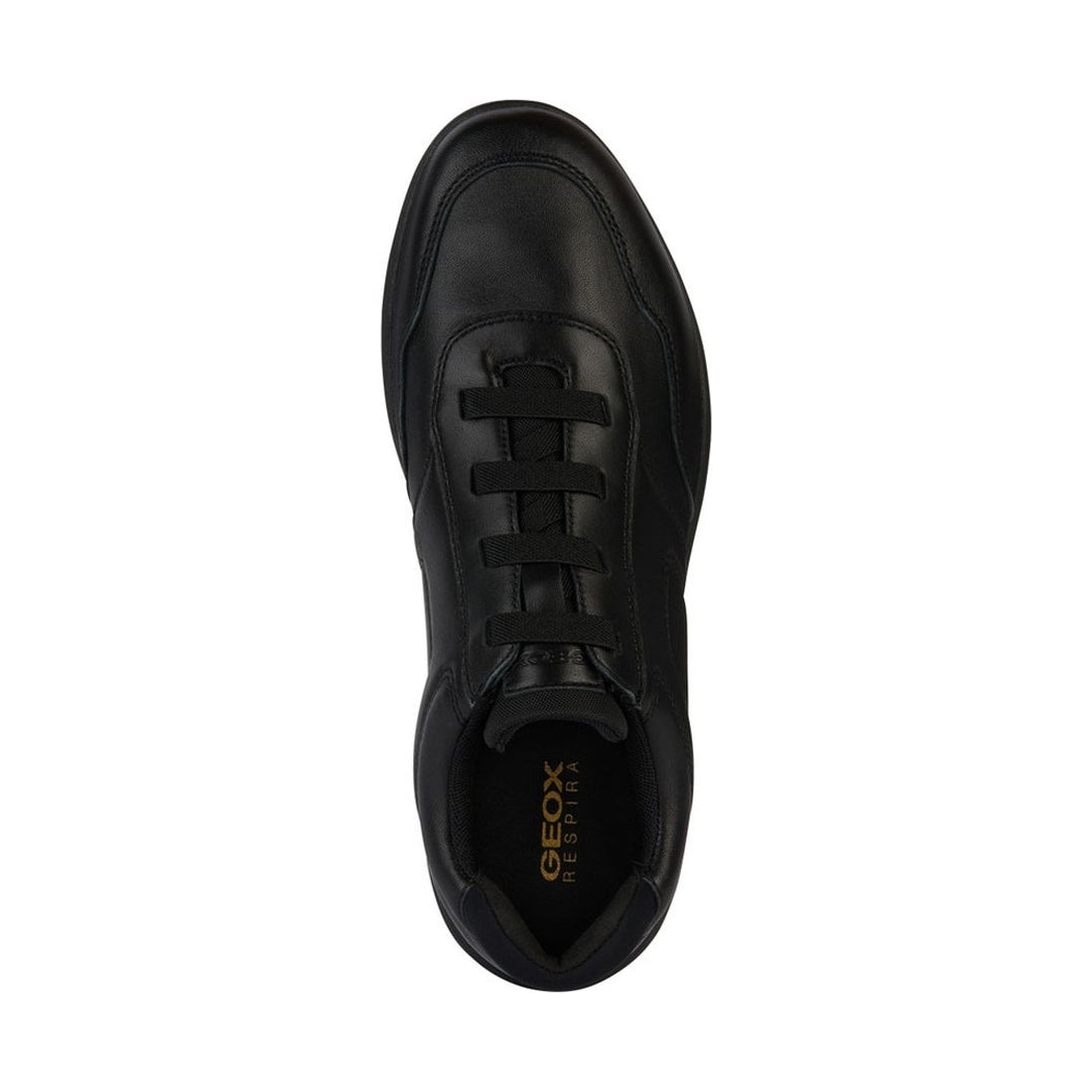 Geox mens black spherica ec2 shoes | Vilbury London