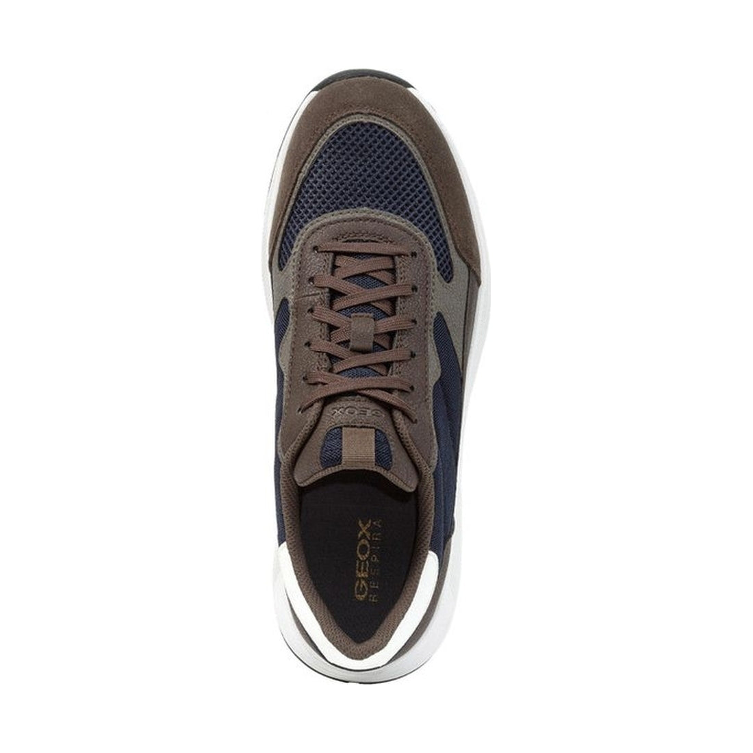 Geox mens dk olive, navy molveno sneakers | Vilbury London