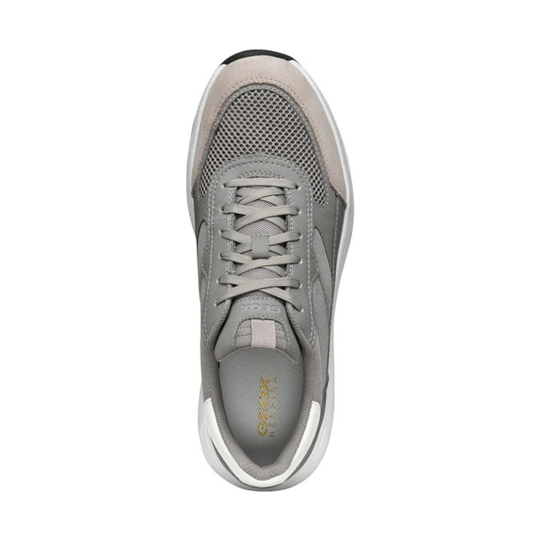 Geox mens stone molveno sneakers | Vilbury London