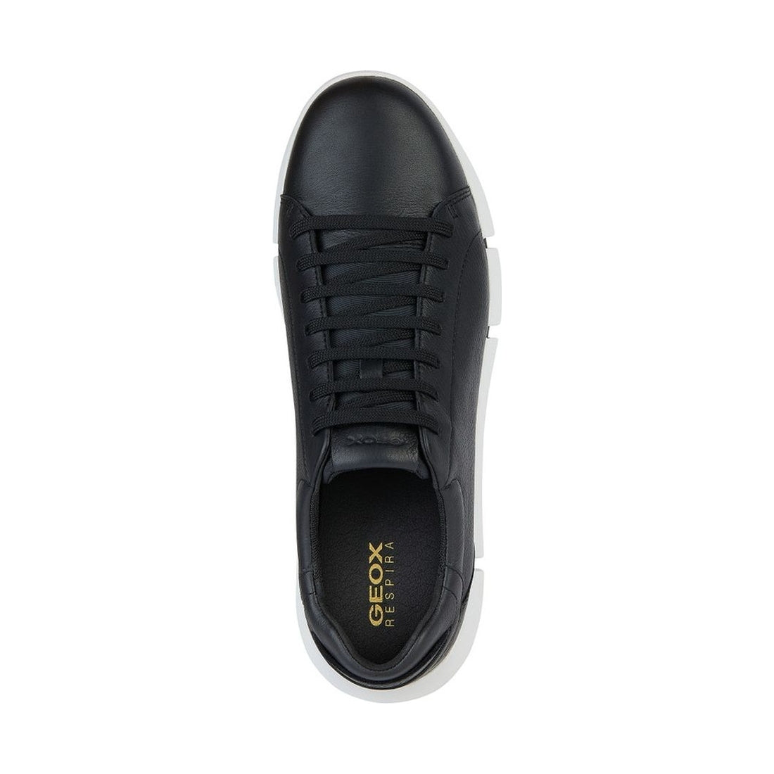 Geox mens black adacter sneakers | Vilbury London