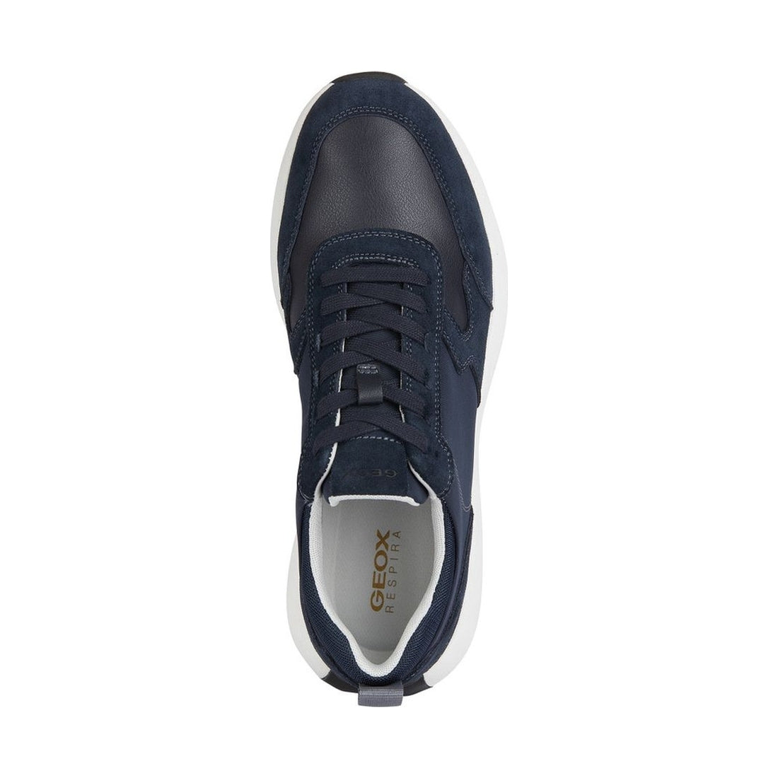 Geox mens navy volpiano sneakers | Vilbury London