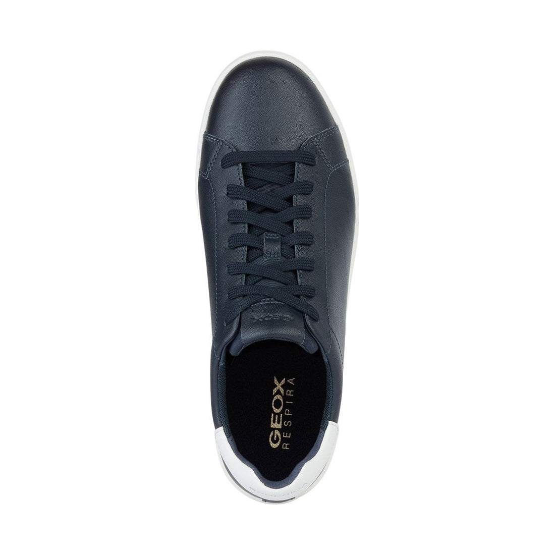 Geox mens navy spherica ecub-1 sneakers | Vilbury London