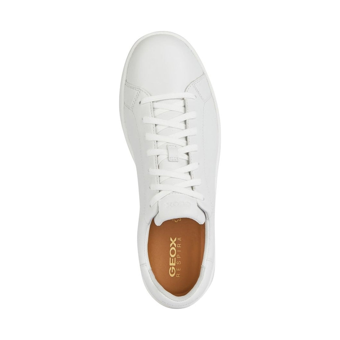 Geox mens white spherica ecub-1 sneakers | Vilbury London