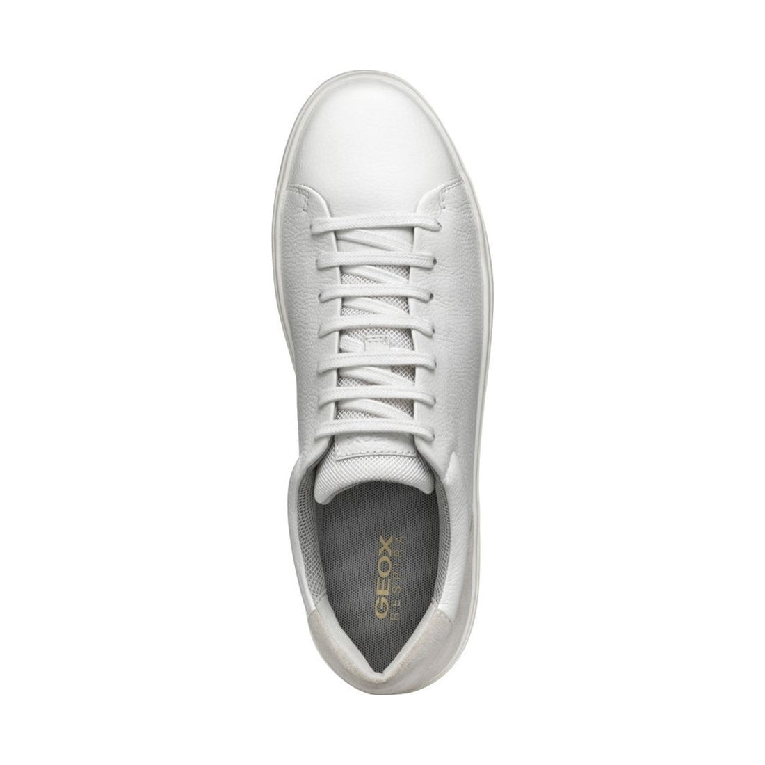 Geox mens white avola sneakers | Vilbury London