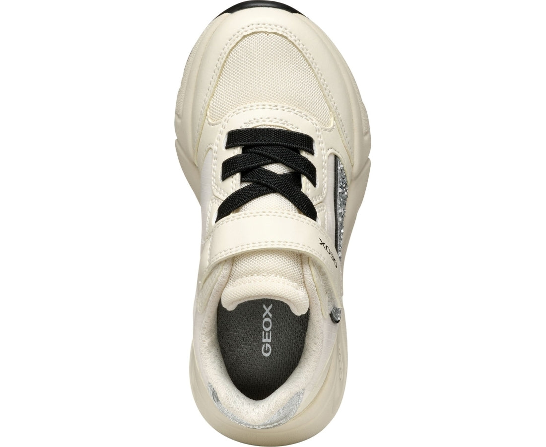 loftus leisure trainers