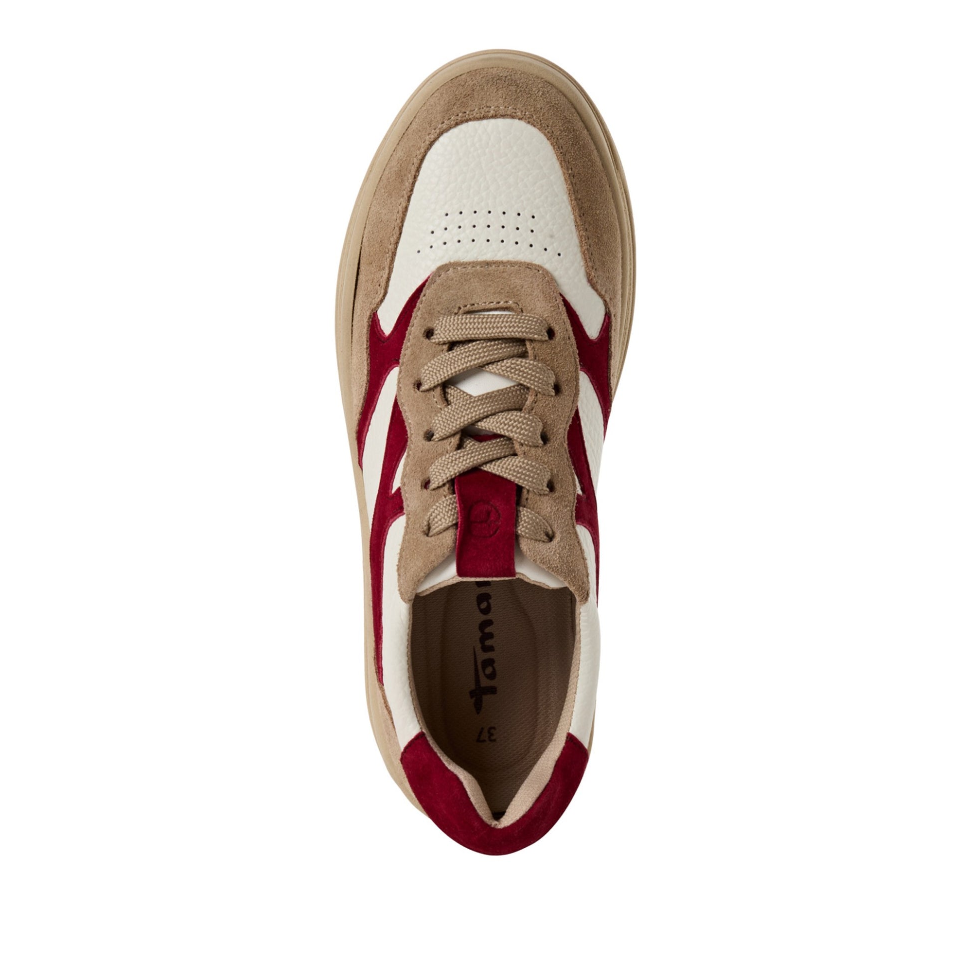 Women's Multicolor Fashion Sneakers