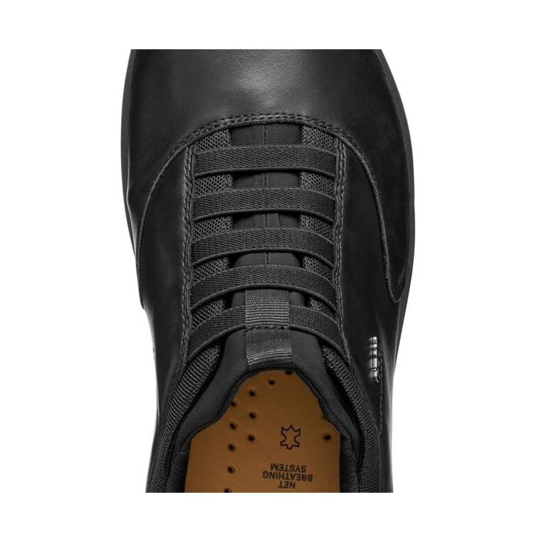 nebula 2.0 plus leisure