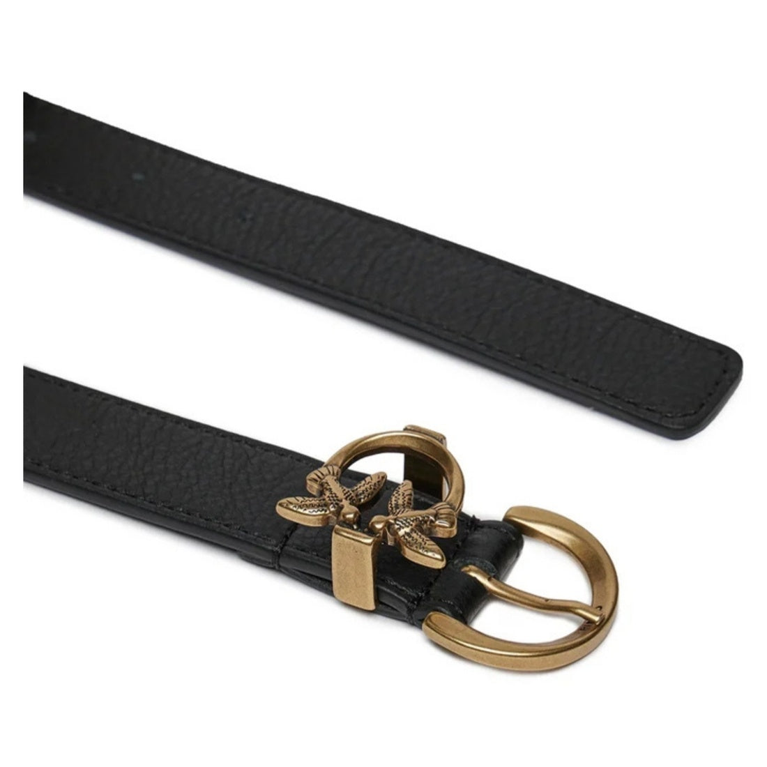 tamboril h2,5 belt pelle botta