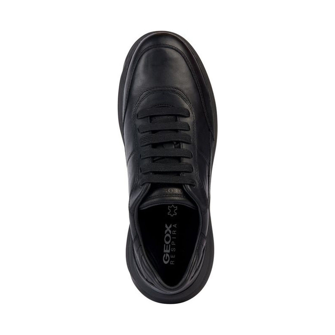 Geox mens black fluctis sport shoe | Vilbury London