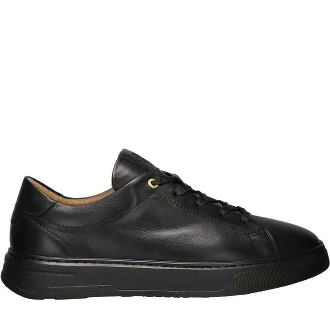 Salamander mens black tylor leisure trainers | Vilbury London