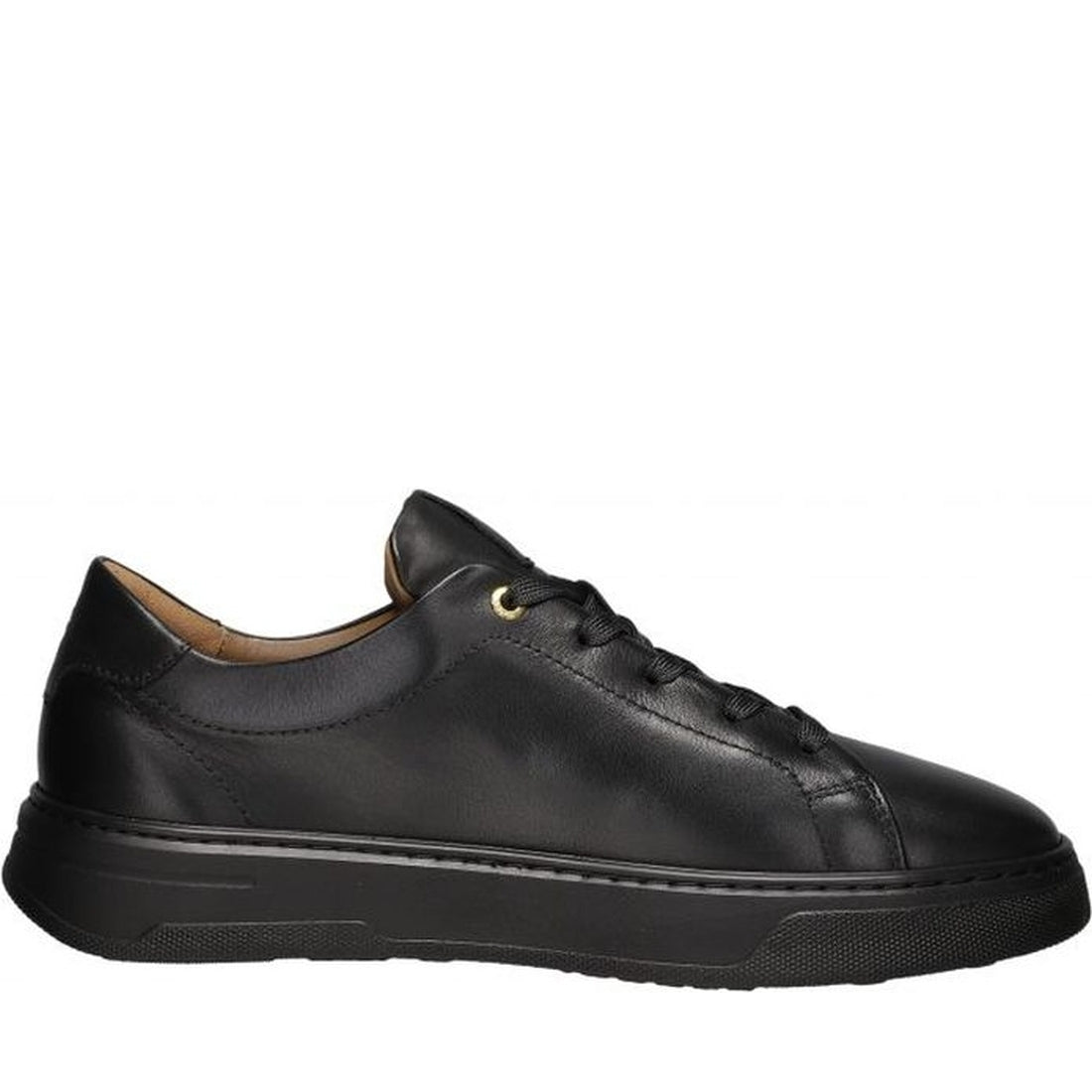 Salamander mens black tylor leisure trainers | Vilbury London