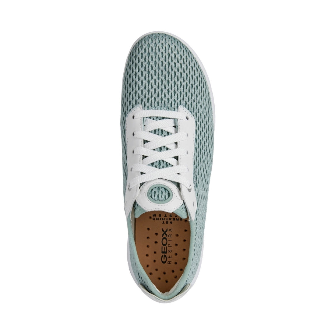 Geox Womens Mint White aerantis shoes | Vilbury London