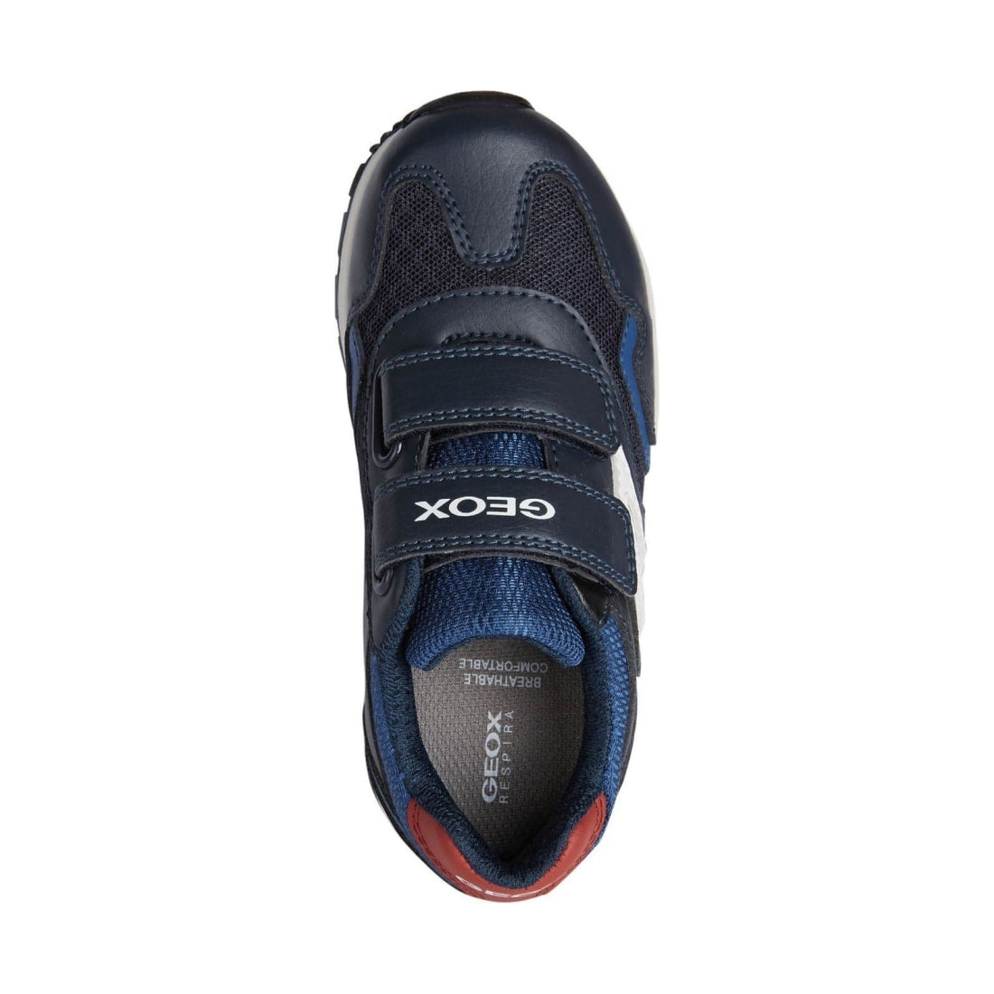 Geox boys navy, red pavel sport shoes | Vilbury London