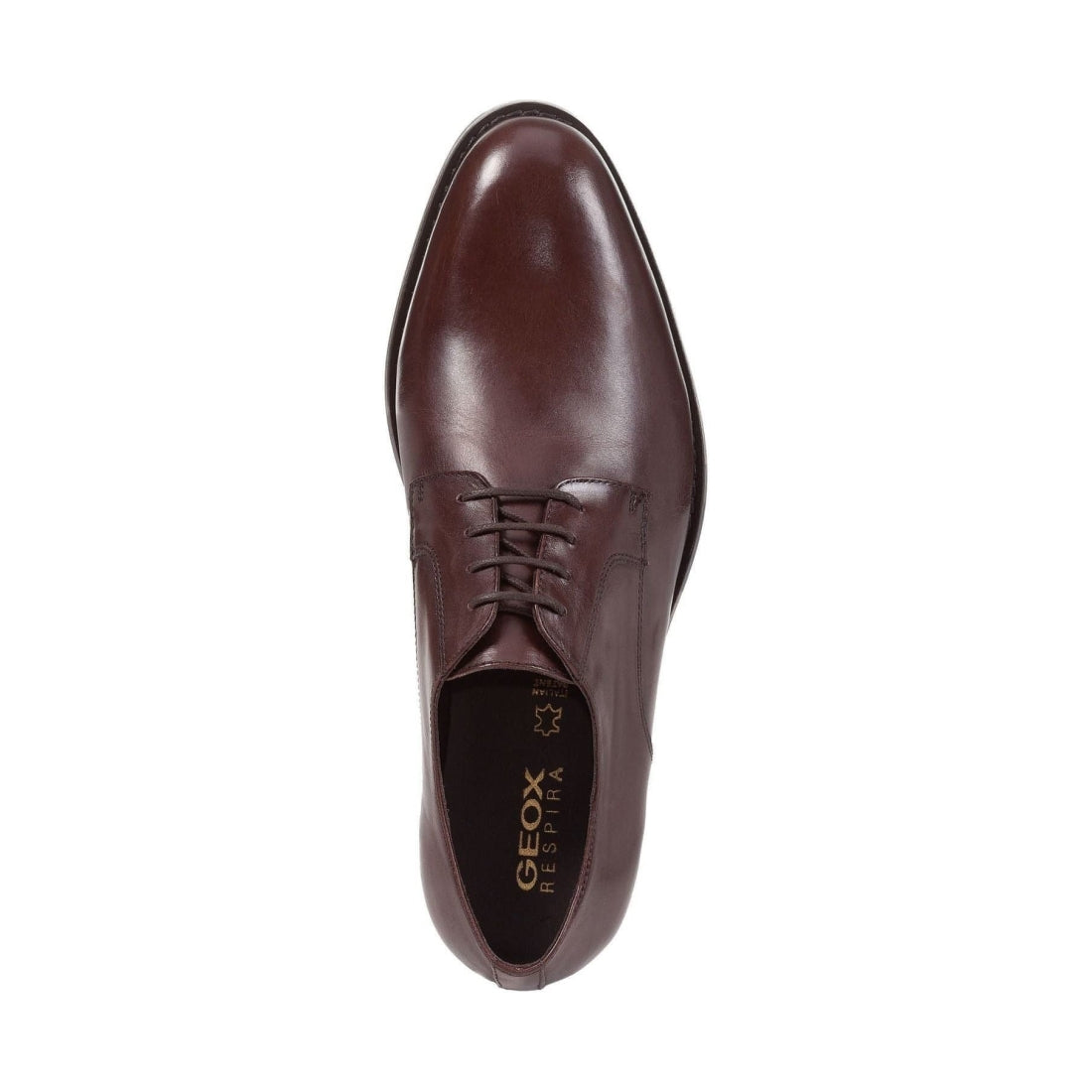 Geox mens dark brown hampstead formal | Vilbury London