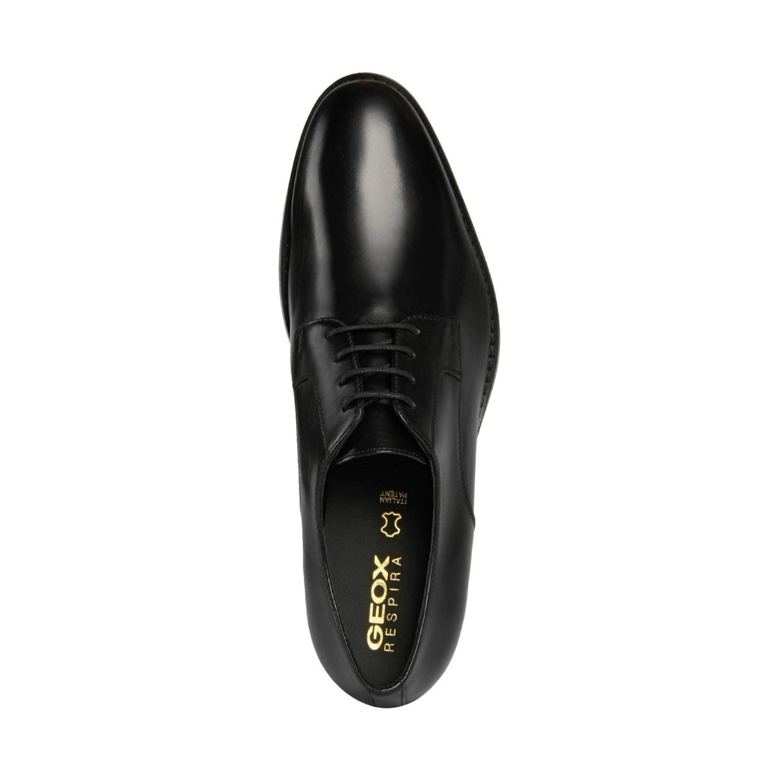 Geox mens black hampstead formal | Vilbury London