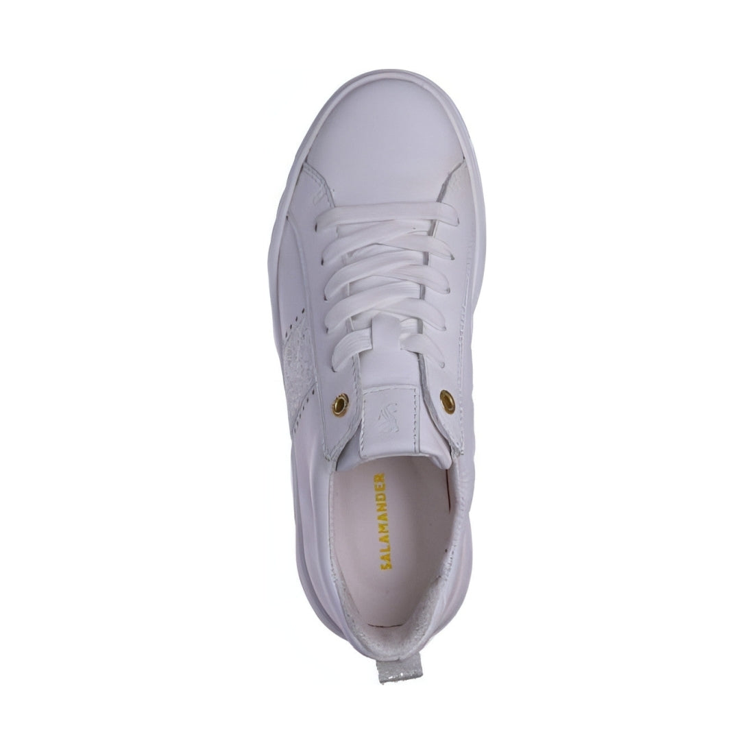 Salamander womens weiss lennia sport shoe | Vilbury London